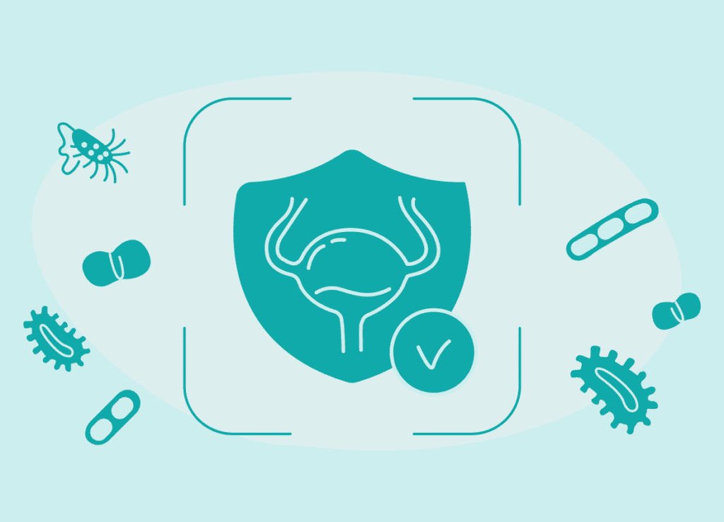 Вакцина від циститу: бактеріальна імунотерапія при рецидивних ІСШ